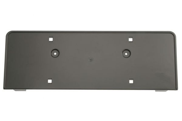 BLIC 6509-01-0030920P Licence Plate Holder