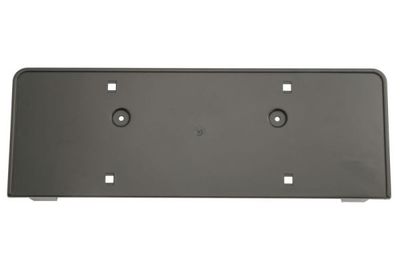 Licence Plate Holder BLIC 6509-01-0030920P