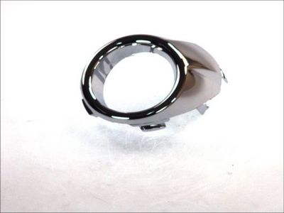 Ventilation Grilles, bumper BLIC 6509-01-2565923P