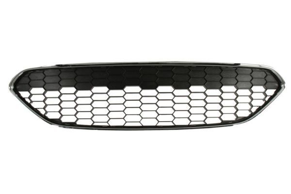 BLIC 6509-01-2565990Q Radiator Grille