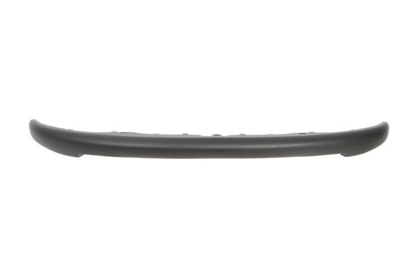 BLIC 6509-01-5507920Q Trim/Protection Strip, bumper