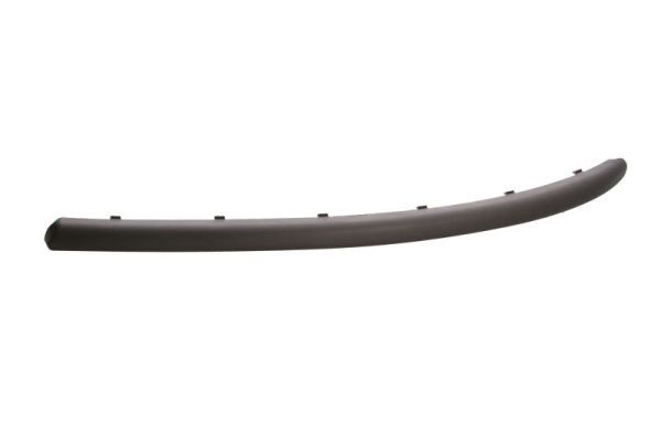 BLIC 6509-01-0109921P Trim/Protection Strip, bumper