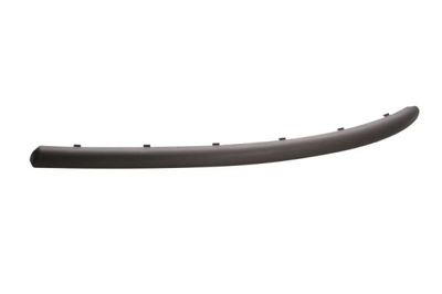 Trim/Protection Strip, bumper BLIC 6509-01-0109921P