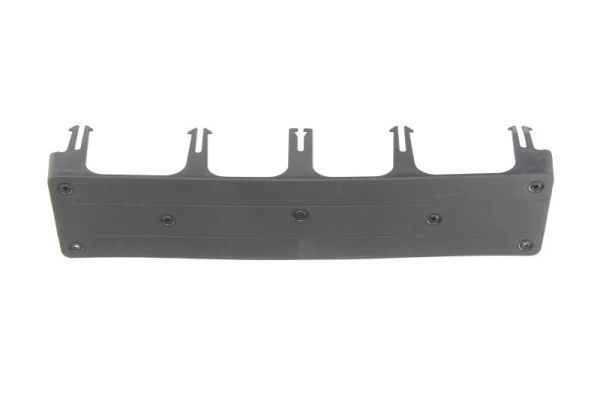 BLIC 6509-01-3517921P Licence Plate Holder