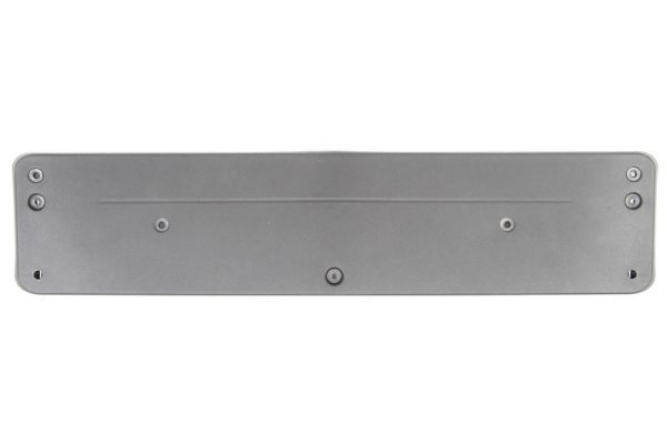 BLIC 6509-01-3528920P Licence Plate Holder
