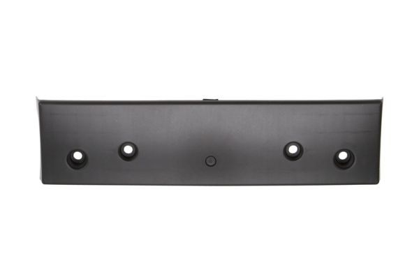 BLIC 6509-01-3719920P Licence Plate Holder