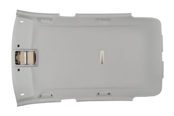 BLIC 6600-00-9548700P Roof Inner Lining