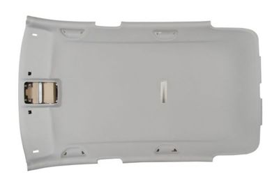Roof Inner Lining BLIC 6600-00-9548700P