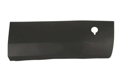 Trim/Protection Strip, door BLIC 6600-04-2518902P