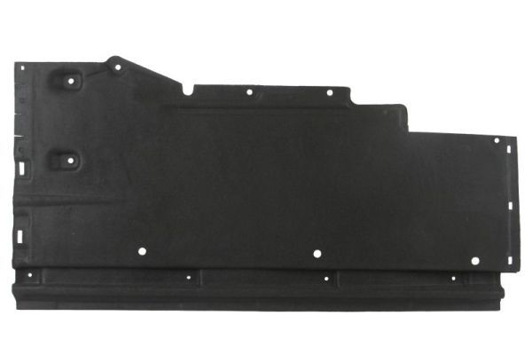 BLIC 6601-02-0029981P Engine Cover