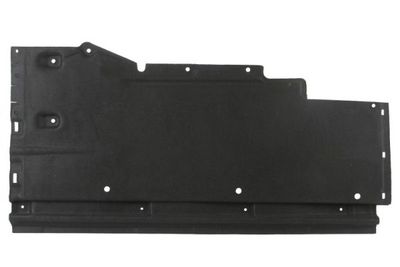 Engine Cover BLIC 6601-02-0029981P