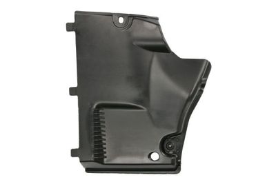 Engine Cover BLIC 6601-02-0029983P