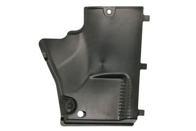 Engine Cover BLIC 6601-02-0029984P
