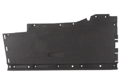 Engine Cover BLIC 6601-02-0032984P