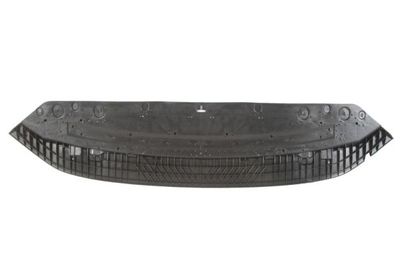 Engine Cover BLIC 6601-02-0038880P