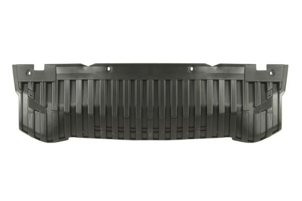 BLIC 6601-02-0038881P Engine Cover