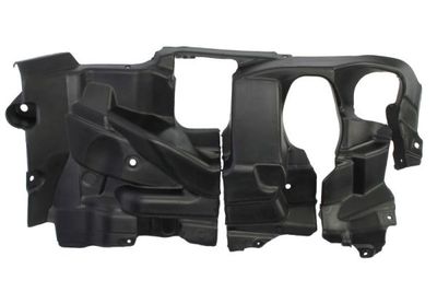 Engine Cover BLIC 6601-02-0067861P