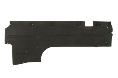Engine Cover BLIC 6601-02-0067982P