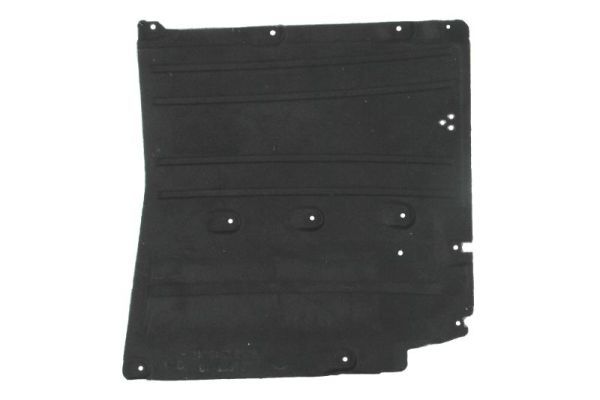 BLIC 6601-02-0068984P Engine Cover