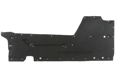 Engine Cover BLIC 6601-02-0086982P