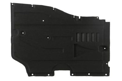 Engine Cover BLIC 6601-02-0093981P
