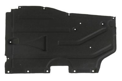 Engine Cover BLIC 6601-02-0093982P