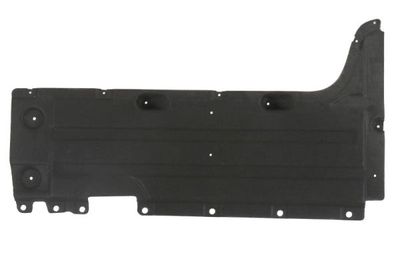 Engine Cover BLIC 6601-02-0093984P