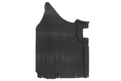 Engine Cover BLIC 6601-02-0097983P