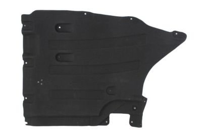 Engine Cover BLIC 6601-02-0097984P