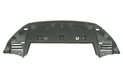 Engine Cover BLIC 6601-02-0539880P