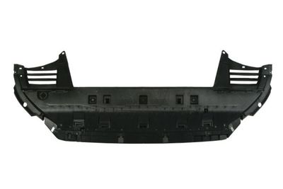 Engine Compartment Noise Insulation BLIC 6601-02-0554860P