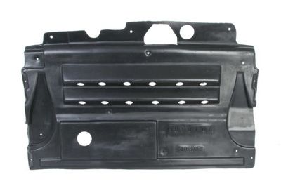 Engine Cover BLIC 6601-02-0913860P