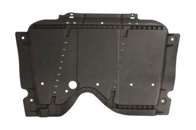 Engine Cover BLIC 6601-02-1013881Q