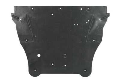 Engine Cover BLIC 6601-02-1617865P