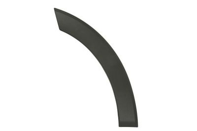 Trim/Protection Strip, door BLIC 6601-02-2518423P