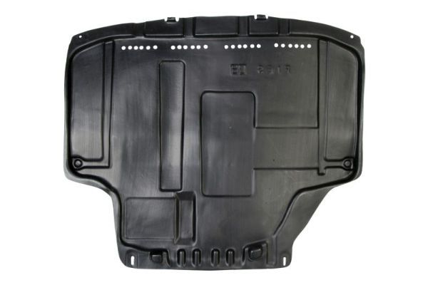 BLIC 6601-02-2565861P Engine Cover