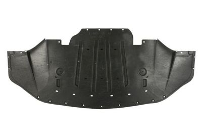 Engine Cover BLIC 6601-02-2589862P