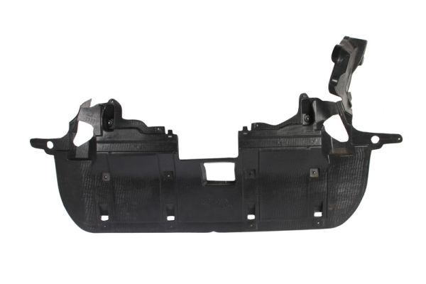 BLIC 6601-02-2958861P Engine Cover