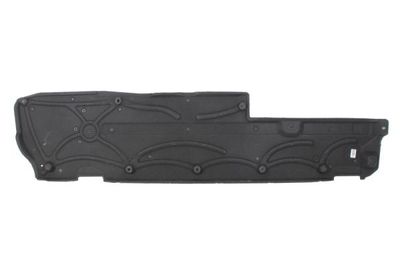 Engine Cover BLIC 6601-02-3529984P