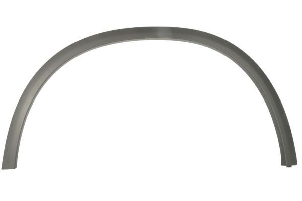 BLIC 6601-02-3531421P Trim/Protection Strip, wing