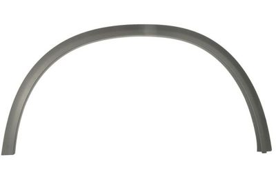 Trim/Protection Strip, wing BLIC 6601-02-3531421P