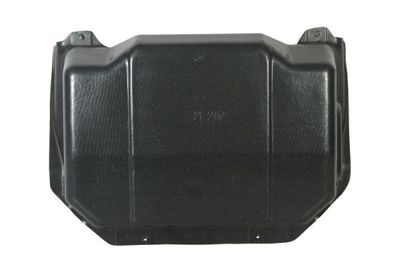 Engine Cover BLIC 6601-02-3545860P