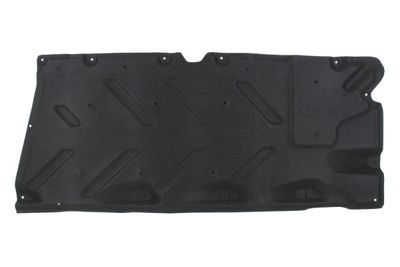 Engine Cover BLIC 6601-02-3583981P