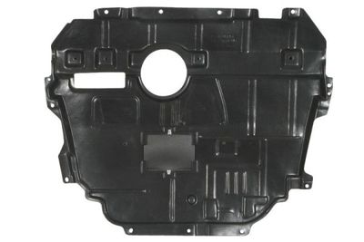 Engine Cover BLIC 6601-02-8119881P