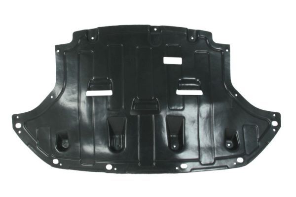 BLIC 6601-02-9080870P Engine Cover