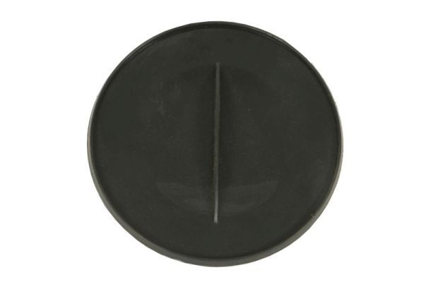 BLIC 6601-05-0000013QQ Engine Cover
