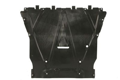 Engine Cover BLIC 6601-05-0000030Q