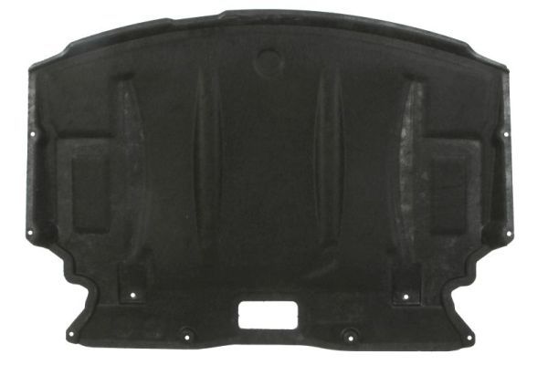 BLIC 6601-05-0000035P Engine Cover