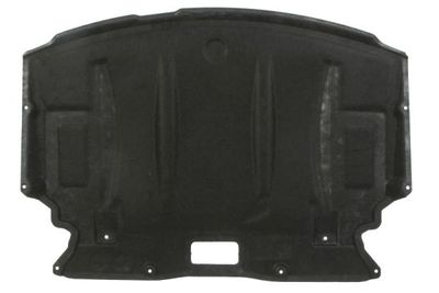 Engine Cover BLIC 6601-05-0000035P
