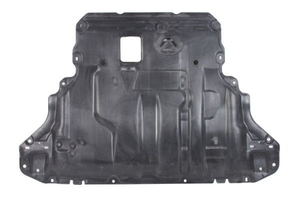 BLIC 6601-05-0000052Q Engine Cover